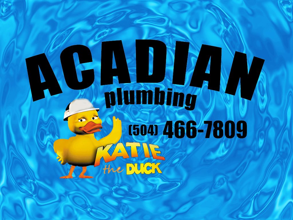 Acadian Plumbing pool